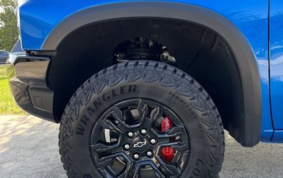 Painted Calipers