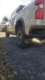 ZR2 mudflaps1.webp