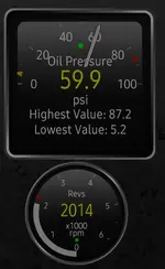Screenshot_20250428_200229_Torque.webp