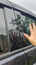 e06d907915264fe0df6c0f28681a8f10.webp