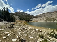 IMG_1665 Medium.webp