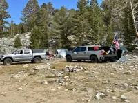 IMG_1668 Medium.webp