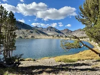 IMG_1678 Medium.webp