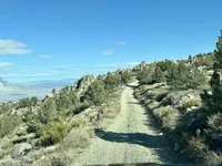 IMG_1676 Medium.webp