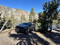 IMG_1687 Medium.webp