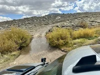 IMG_1659 Medium.webp