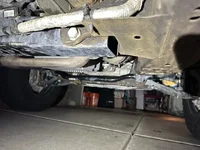 IMG_1875 Medium.webp