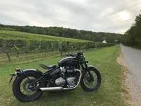 2017 Bobber.webp