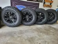 20230609_172904.jpg