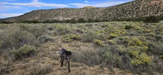20230928_170102.webp