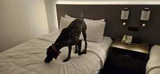 20230928_202657.webp