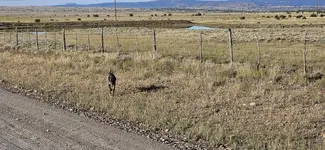 20230929_081229.webp