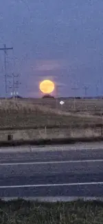 20230929_191134.webp