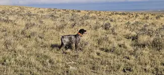 20230930_083852.webp