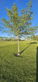 20240613_204041.webp