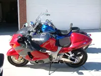 busahoss (2).webp