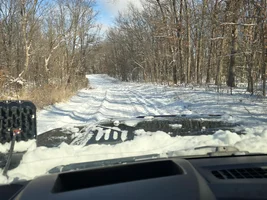 What Snow!