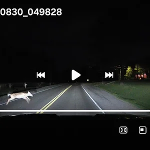 Screenshot_20260413_074830_Video Player.webp