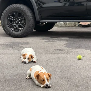 Jack's and their favorite truck...