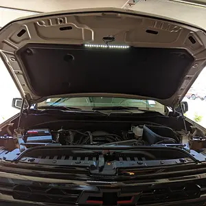 LED Underhood.jpg