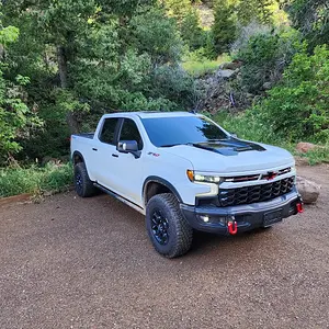 ZR2 Bison White.jpg