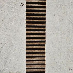 20231029_113812.jpg
