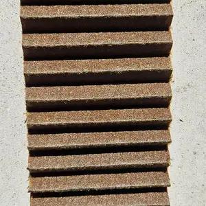 20231029_113825.jpg