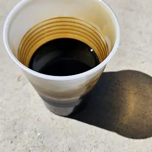 20240914_112902.jpg