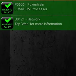 Screenshot_20250109_131224_Torque.jpg