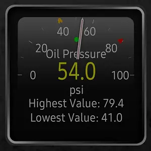 Screenshot_20250428_191312_Torque.webp
