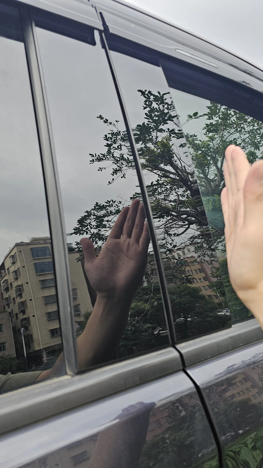 20250527_051010.webp
