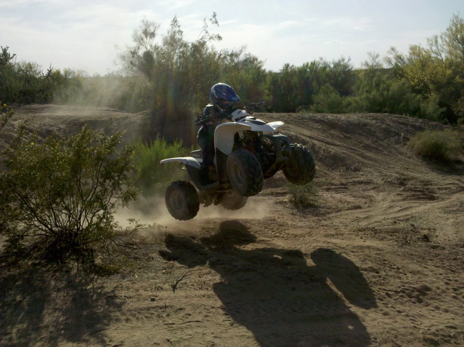IMG_20110424_163352.jpg