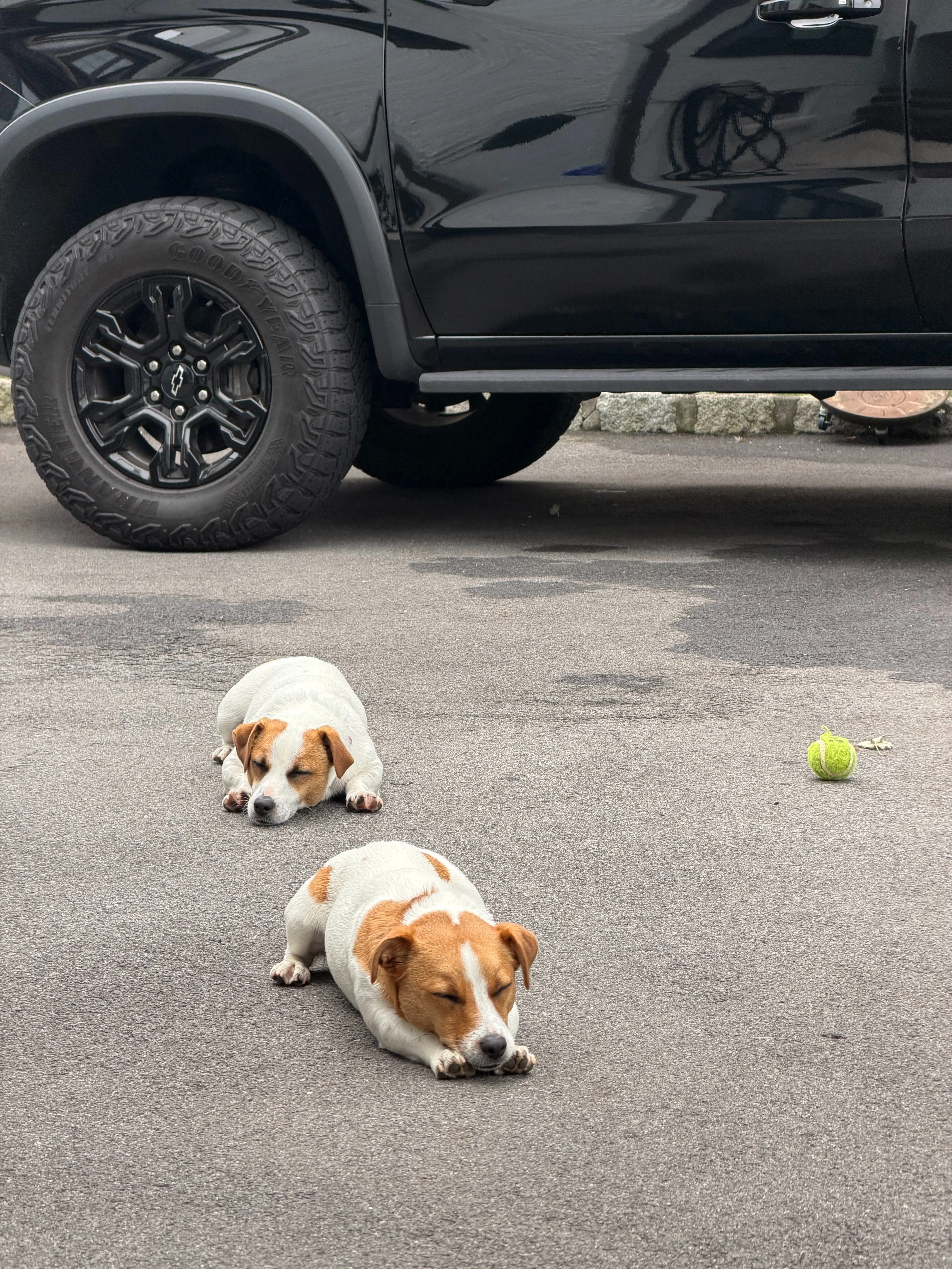 Jack's and their favorite truck...