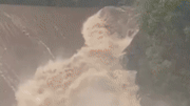 www.foxweather.com